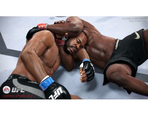 Фото №3 - EA Sports UFC PS4