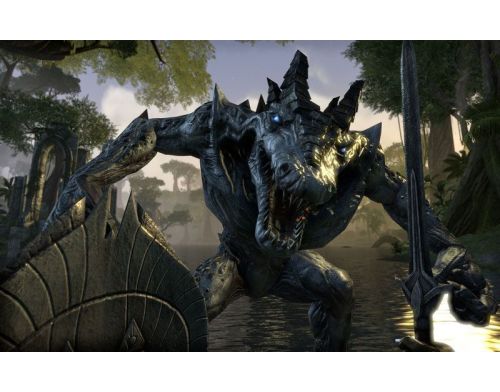 Фото №4 - Elder Scrolls Online: Gold Edition PS4