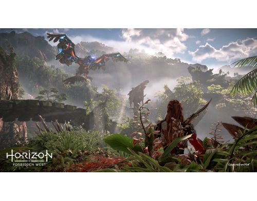 Фото №5 - Ваучер на загрузку игры Horizon: Forbidden West PS5 PS4