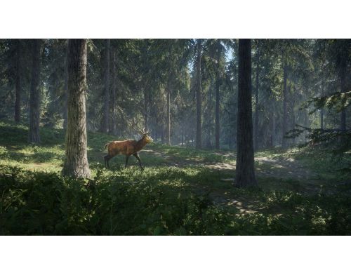 Фото №6 - The Hunter Call of the Wild PS4 Б.У.
