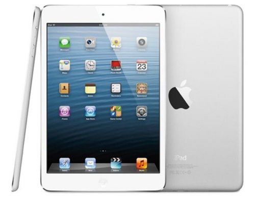 Фото №4 - Apple iPad mini Wi-Fi + LTE 16 GB (черный/белый)