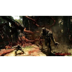 Игра Bound By Flame PS4