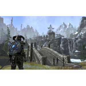 Игра The Elder Scrolls Online PS4