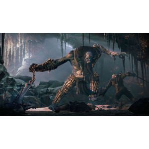 Игра The Witcher 3: Wild Hunt - Hearts of Stone PS4 (ваучер на скачивание)