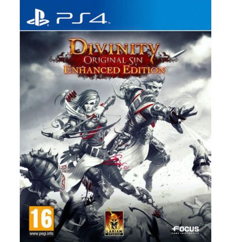 купить Divinity Original Sin Enhanced Edition для PS4, продажа, заказать, в Киеве, по Украине, лицензионные, игры, продажа
