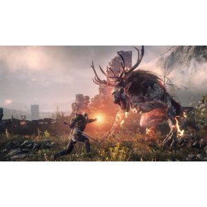 Игра The Witcher 3 Wild Hunt Game of The Year Edition PS4 русская версия