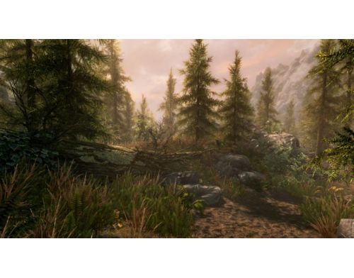 Фото №6 - The Elder Scrolls V Skyrim Special Edition PS4 русские субтитры