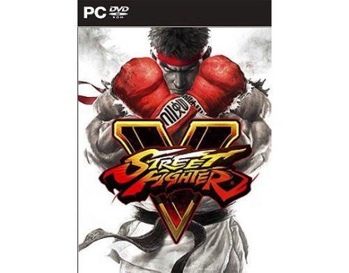 Фото №1 - Street Fighter V (ключ активации)