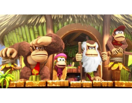 Фото №6 - Donkey Kong Country: Tropical Freeze Nintendo Switch
