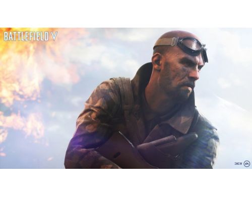 Фото №2 - Battlefield 5 PS4 русская версия
