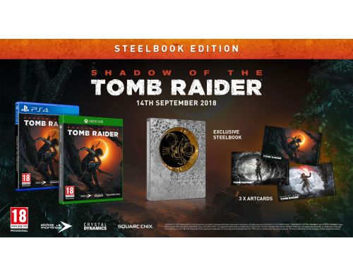 Фото №4 - Shadow of the Tomb Raider Steel book Edition PS4