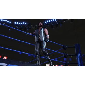 Игра WWE 2K19 PS4 Английская версия