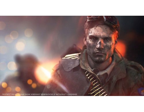 Фото №4 - Battlefield 5 PS4 русская версия Б/У
