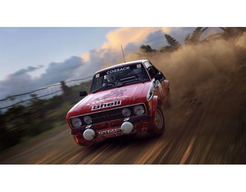 Фото №4 - Dirt Rally 2.0 PS4 русские субтитры
