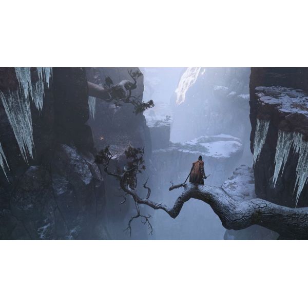 Игра Sekiro: Shadows Die Twice для PS4 русские субтитры фото №3