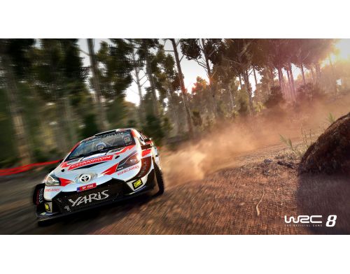 Фото №5 - WRC 8: FIA World Rally Championship Nintendo Switch русские субтитры