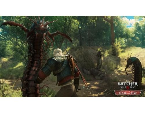 Фото №2 - The Witcher 3: Wild Hunt - Complete Edition Nintendo Switch английская версия