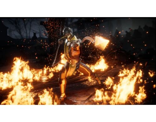 Фото №3 - Mortal Kombat 11 Nintendo Switch Б/У