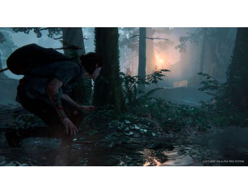 Фото №4 - The Last of Us 2 Special Edition PS4 Русская версия