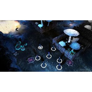 Игра Wasteland 2: Director's Cut PS4 Русская версия