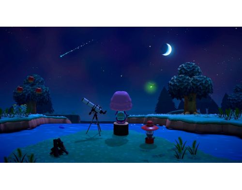 Фото №5 - Nintendo Switch Animal Crossing: New Horizons Limited Edition (Upgraded version) + Игра Animal Crossing