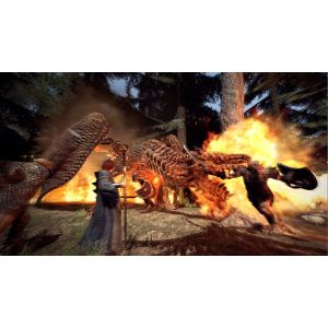 Игра Dragon's Dogma: Dark Arisen Nintendo Switch Русская версия