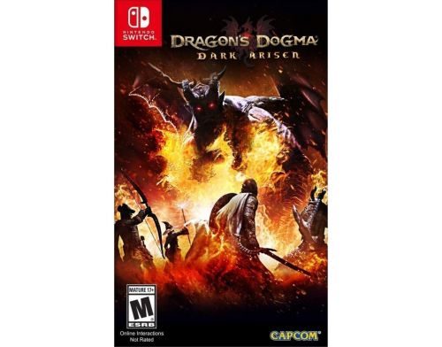 Фото №1 - Dragon's Dogma: Dark Arisen Nintendo Switch Русская версия