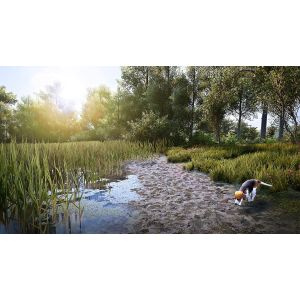 Игра Hunting Simulator 2 PS4