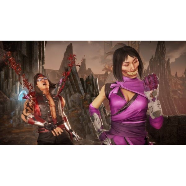 Игра Mortal Kombat Ultimate 11 Collector's Edition PS5 фото №2