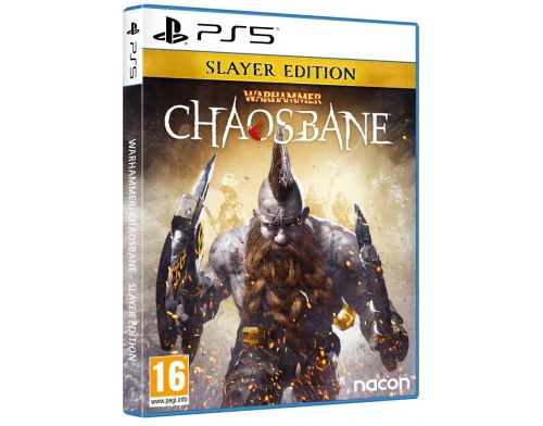 Фото №1 - Warhammer: Chaosbane - Slayer Edition PS5 Русская версия