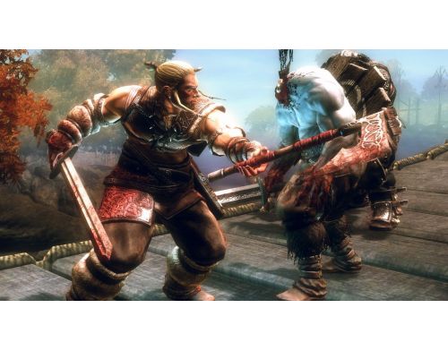 Фото №5 - Viking Battle for Asgard PS3 Б.У.