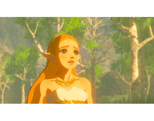 Фото №4 - Консоль Nintendo Switch (OLED model) White set + The Legend of Zelda: Breath of the Wild