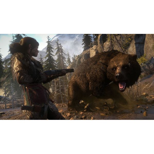 Игра Rise of the Tomb Raider 20 Year Celebration Edition PS4 Limited edition (notebook) Б.У. фото №5