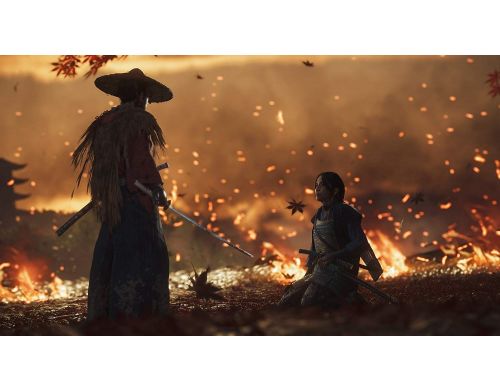 Игра Ghost of Tsushima PS4 английская версия Б.У. фото №2