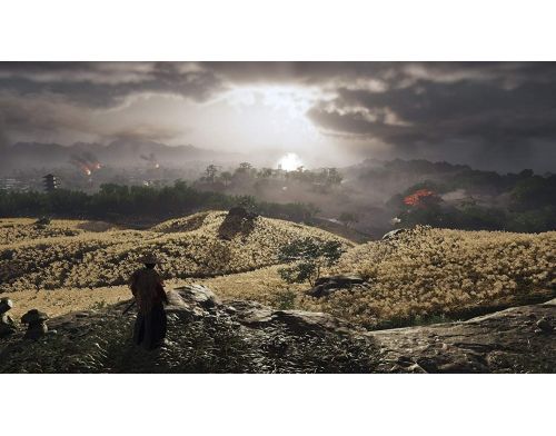 Игра Ghost of Tsushima PS4 английская версия Б.У. фото №6