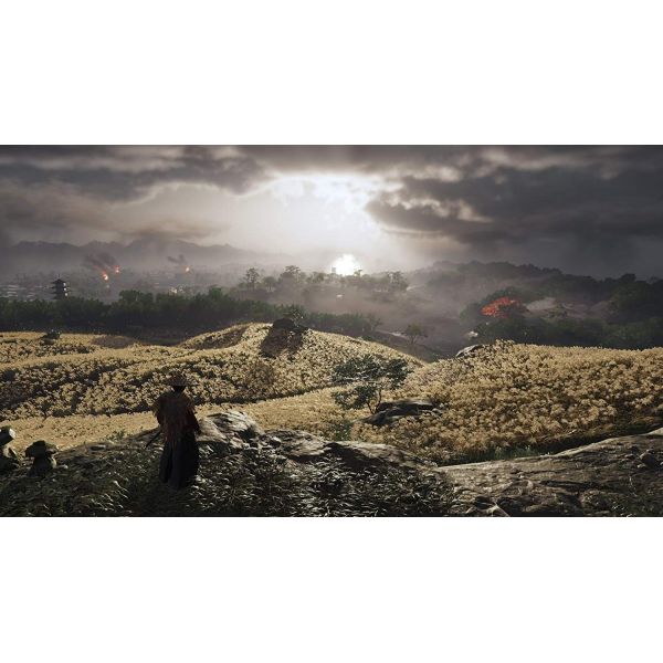 Игра Ghost of Tsushima PS4 английская версия Б.У. фото №6
