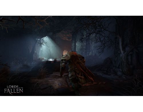 Игра Lords of the Fallen PS4 русские субтитры Б.У. фото №2