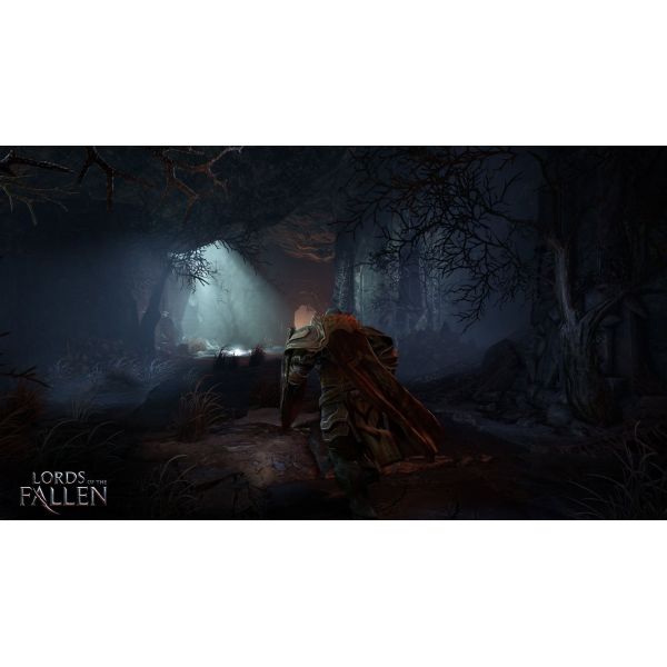 Игра Lords of the Fallen PS4 русские субтитры Б.У. фото №2