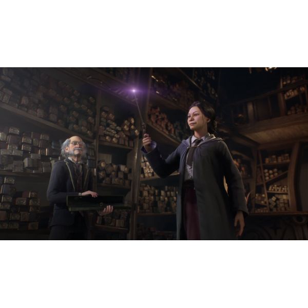 Игра Hogwarts Legacy PS5 русская версия фото №4