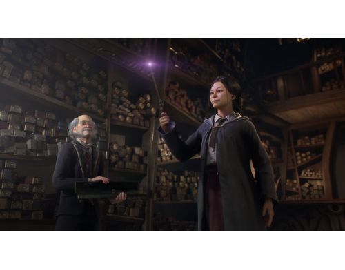 Игра Hogwarts Legacy Deluxe Edition Xbox Series фото №4