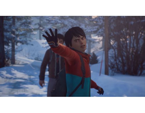 Игра Life is Strange 2 PS4 Русская версия Б.У. фото №3