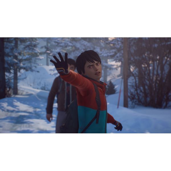 Игра Life is Strange 2 PS4 Русская версия Б.У. фото №3