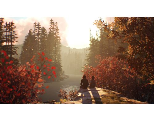 Игра Life is Strange 2 PS4 Русская версия Б.У. фото №4