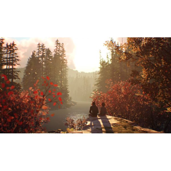 Игра Life is Strange 2 PS4 Русская версия Б.У. фото №4
