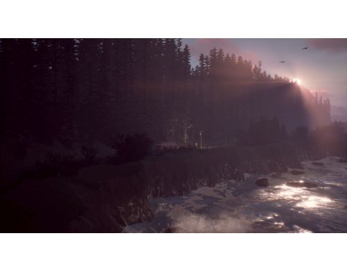 Игра Life is Strange 2 PS4 Русская версия Б.У. фото №5
