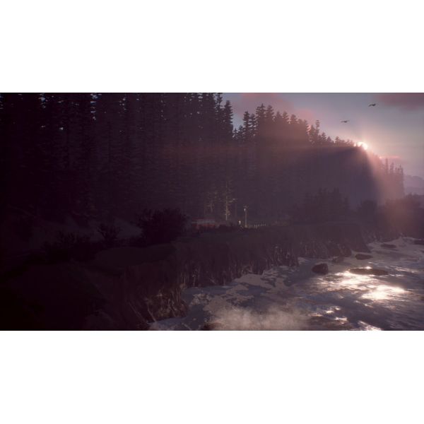 Игра Life is Strange 2 PS4 Русская версия Б.У. фото №5
