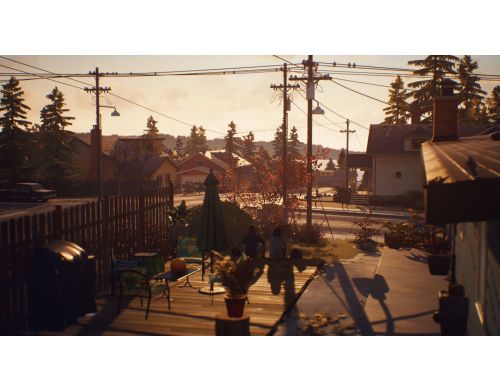 Игра Life is Strange 2 PS4 Русская версия Б.У. фото №6