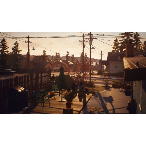 Игра Life is Strange 2 PS4 Русская версия Б.У. фото №6