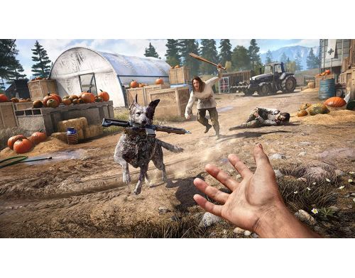 Игра Far Cry 5 Deluxe Edition PS4 английская версия Б.У. фото №3