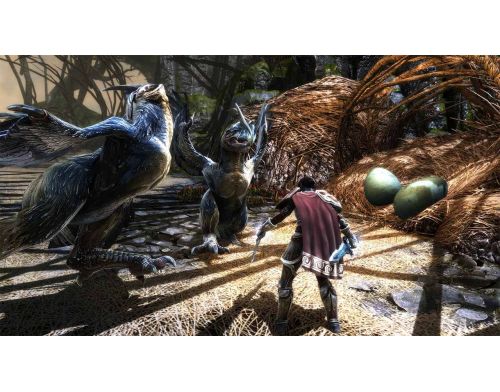 Гра Kingdoms of Amalur Re-Reckoning Nintendo Switch фото №4